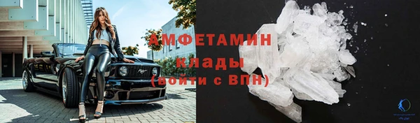 прущие грибы Богородицк