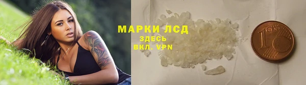прущие грибы Богородицк
