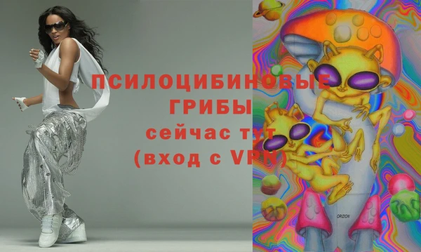 МДПВ Богородск