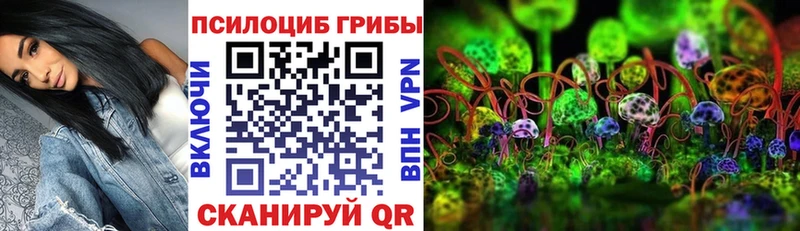 Псилоцибиновые грибы Psilocybine cubensis  Купить  Корсаков 